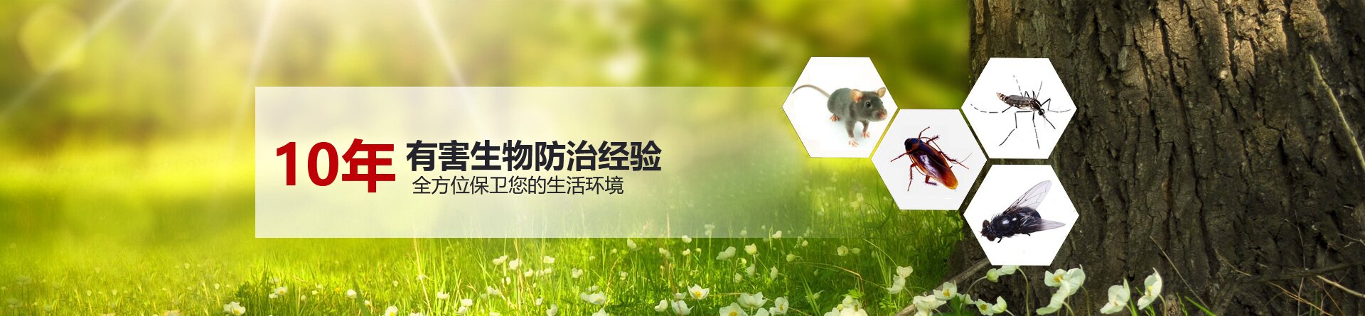 �����岨�к�����������޹�˾